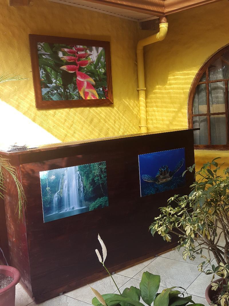 Hotel Colibri Nationalpark Nationalpark Manuel Antonio Exterior foto
